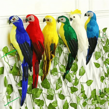 most popular parrot breeds