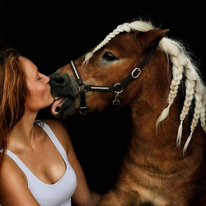 What Is Pet Sex and Why Is It Harmful?