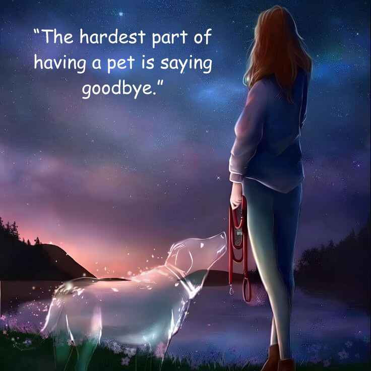 Pet Loss Quotes to Bring You Peace